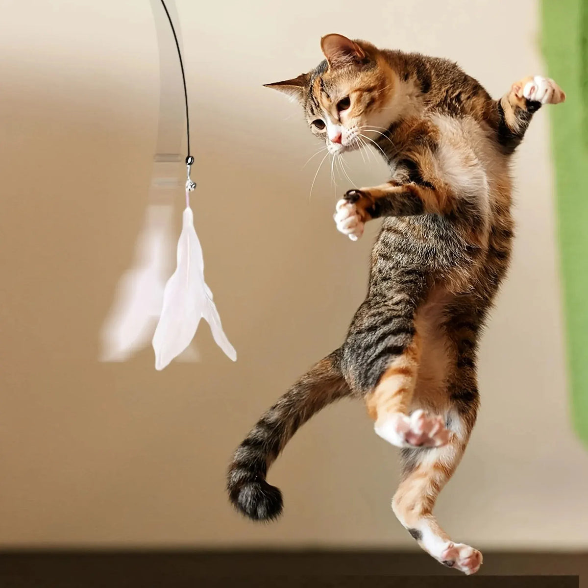 Katzenangel mit Saugnapf